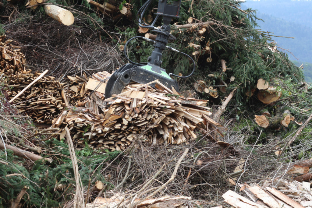 Ein hydraulischer Greifer eines Forstharvesters hebt gehäufte Holzhackschnitzel aus zerkleinertem Restholz, im Hintergrund liegen abgeholzte Baumstämme und Fichtenzweige am Waldboden.