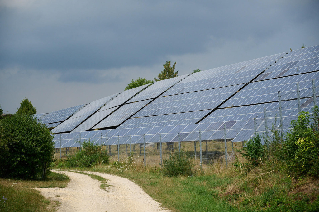 Freiflächen-Photovoltaikanlage auf einer Wiese, umzäunt mit Metallgitterzaun, im Vordergrund ein Schotterweg und Sträucher